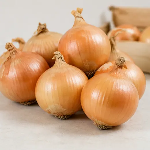 Soğan